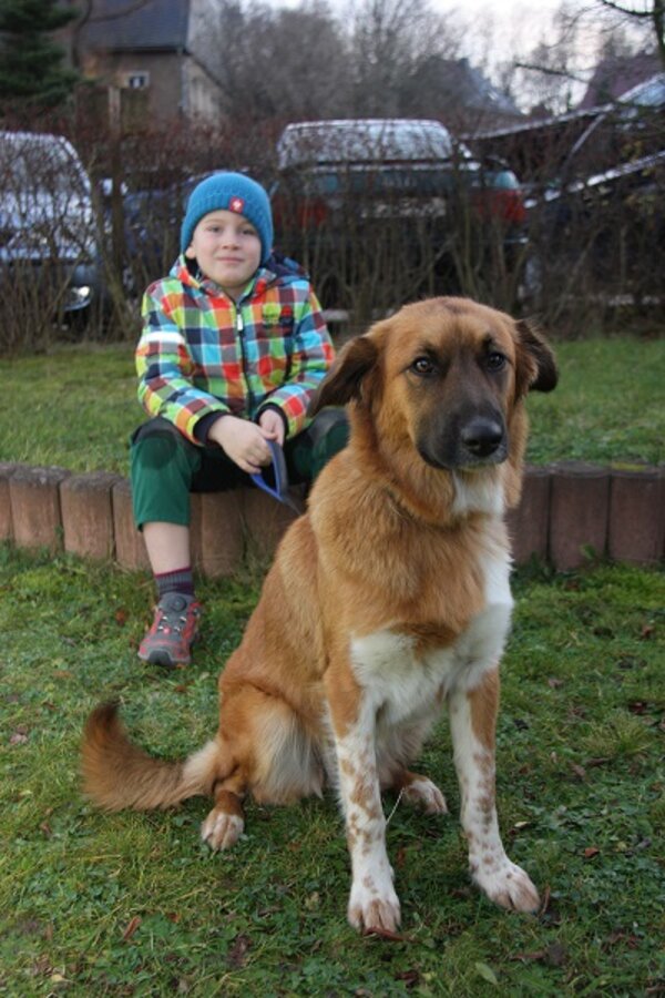Flohmarkt haucht leeren Räumen Leben ein