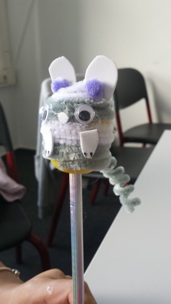 Kein normaler Schultag: BRAFO-Projekttage an den Euro-Schulen